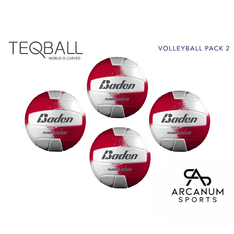 teq voly balls 4 pack